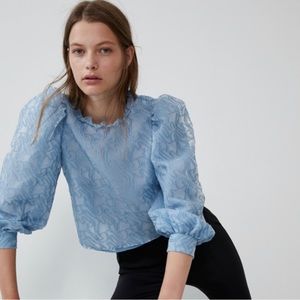 Zara Organza Semi Sheer top XS